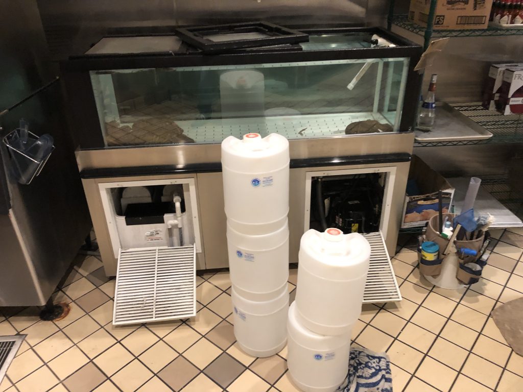 Saltwater aquarium