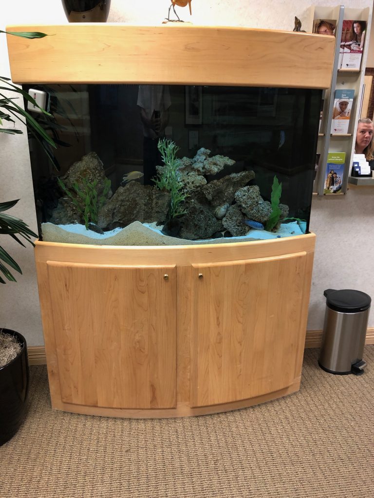 Beautiful aquarium setup